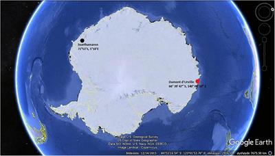 Bioaccumulation of Per and Polyfluoroalkyl Substances in Antarctic Breeding South Polar Skuas (Catharacta maccormicki) and Their Prey